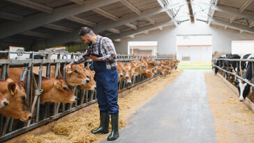Hayvancılıkta Koruyucu Hekimliğin Temeli: Zemin Konforu ve Hayvan Sağlığı