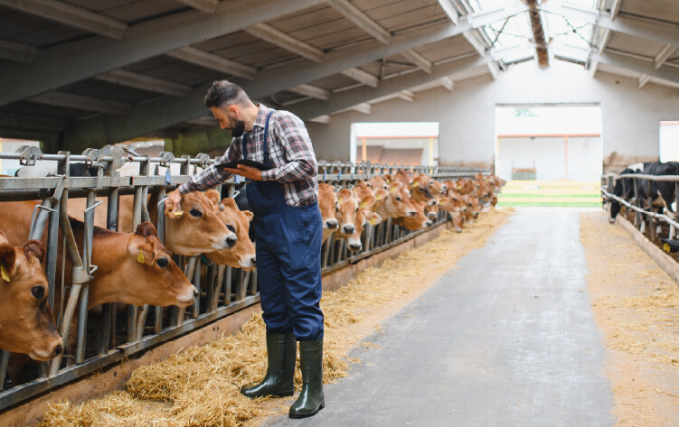 Hayvancılıkta Koruyucu Hekimliğin Temeli: Zemin Konforu ve Hayvan Sağlığı
